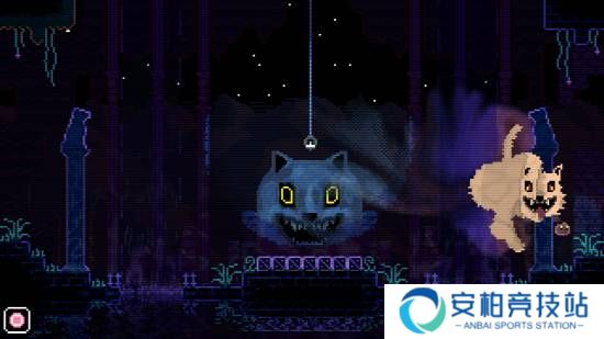本站