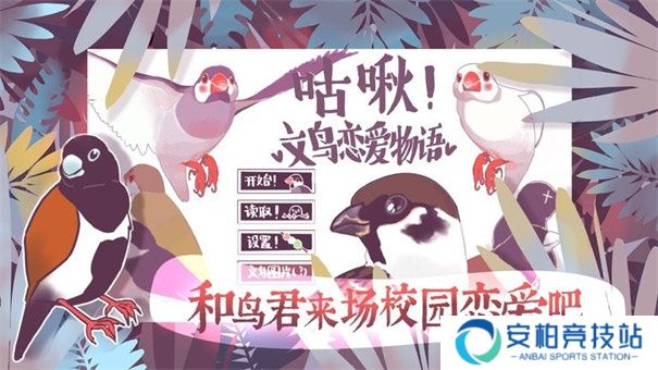 咕啾文鸟恋爱物语安卓10