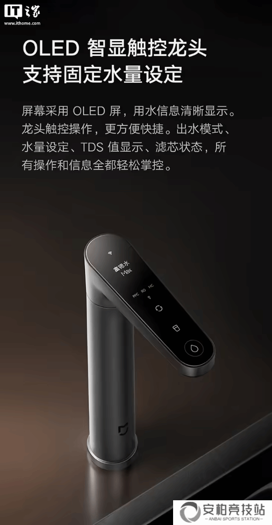 本站