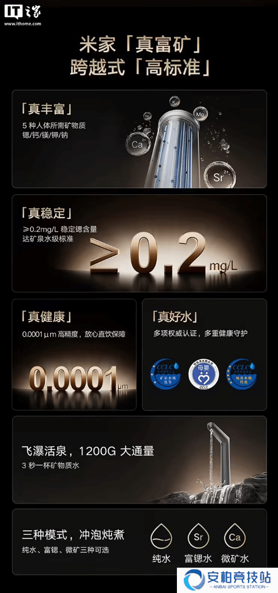 本站