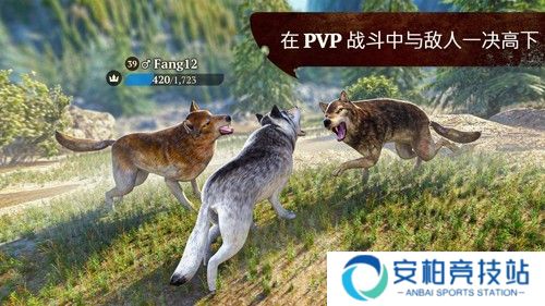 狼族手机版