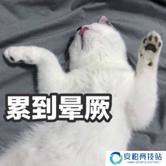 本站