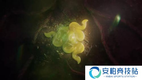 永劫无间《永劫无间》手游-魂玉图鉴