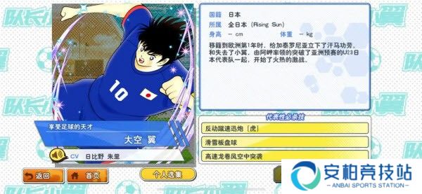 队长小翼最强十一人