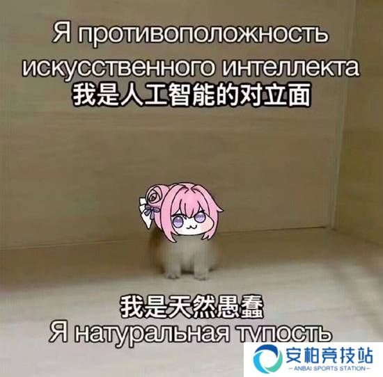 本站