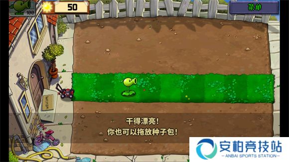 植物娘大战僵尸0.4.3版