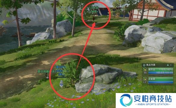 《剑网3》夜哀鸣宠物奇遇怎么完成夜哀鸣宠物奇遇任务攻略4