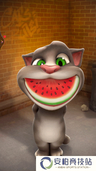 会说话的汤姆猫