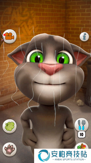 会说话的汤姆猫