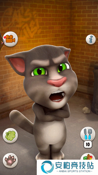 会说话的汤姆猫