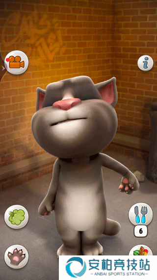 会说话的汤姆猫