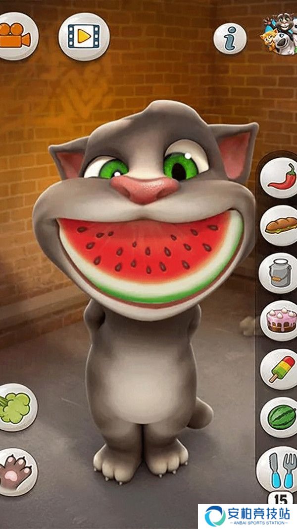 会说话的汤姆猫