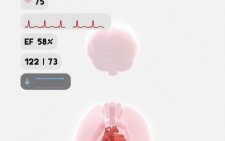 life生命模拟器汉化版