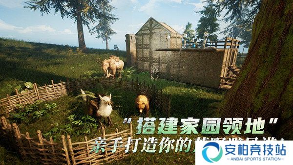 黑光生存进化常见问题汇总