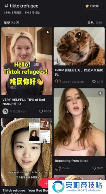 继Tiktok难民后，游戏难民也来了？《龙息：神寂》为何如此吸引人