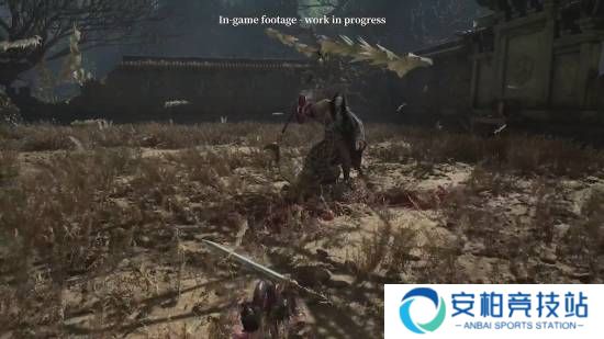 本站