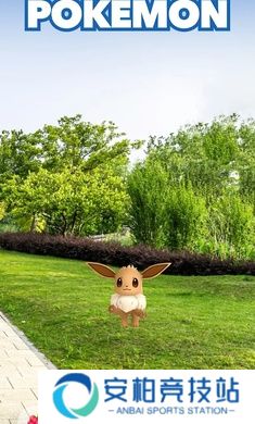 宝可梦go懒人版