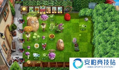 植物大战僵尸写实版