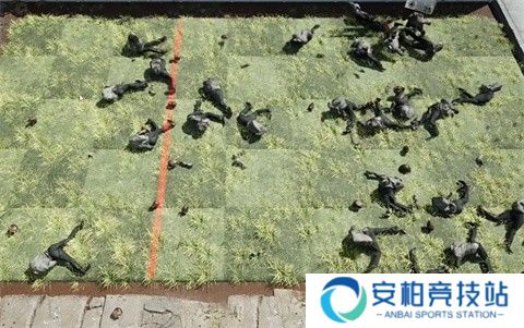 植物大战僵尸写实版