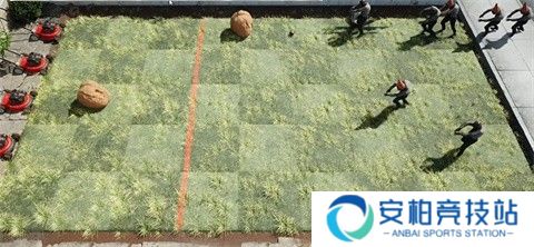 植物大战僵尸写实版