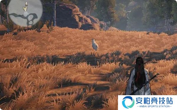 《燕云十六声》脂尾羊刷取方法分享