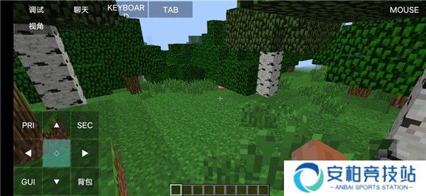 我的世界java基岩版