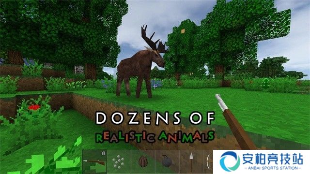 生存战争2.4官方正版