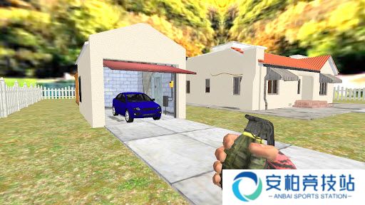 拆家老奶奶汉化游戏