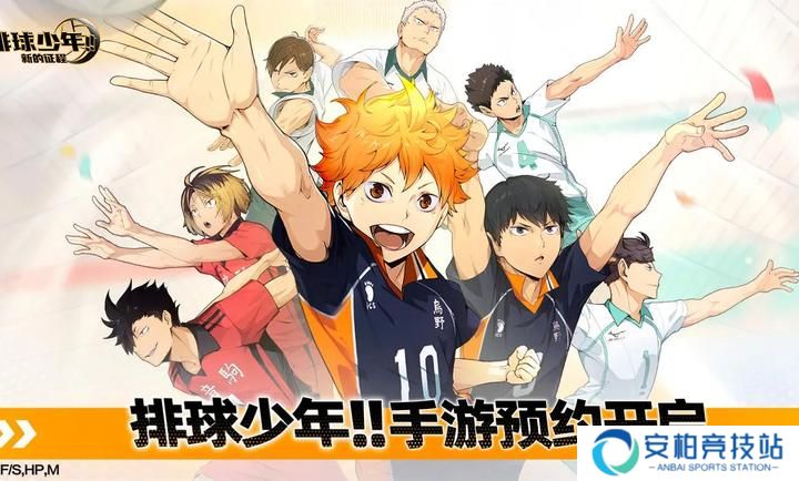 排球少年新的征程
