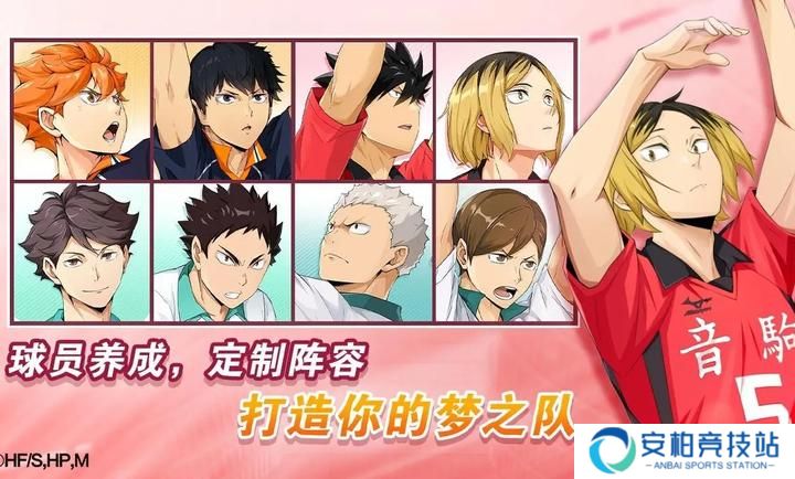 排球少年新的征程