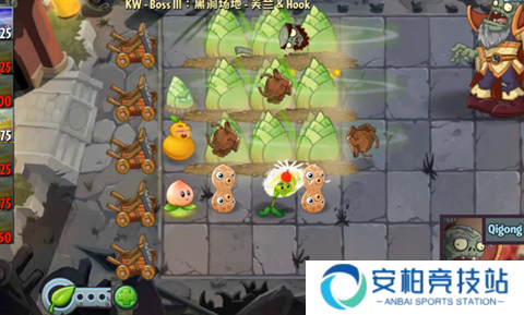 植物大战僵尸2Edgest版