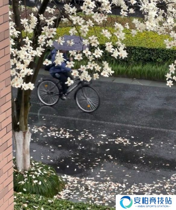 《英雄联盟》不矫情的网名大全8