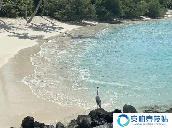 《英雄联盟》不急不躁的网名大全2