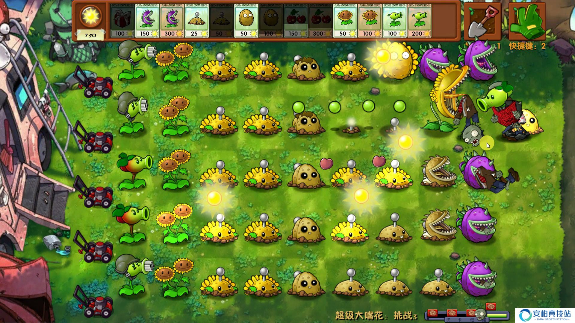 植物大战僵尸融合版