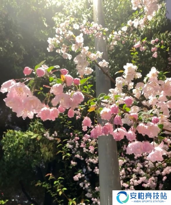 《英雄联盟》不矫情的网名大全10