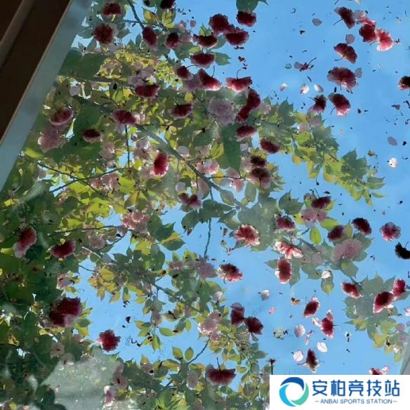 《英雄联盟》不矫情的网名大全5