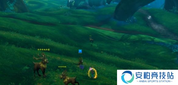 《魔兽世界》翡翠梦境的宝藏成就完成方法介绍4