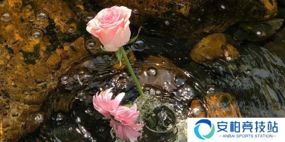 《英雄联盟》不矫情的网名大全