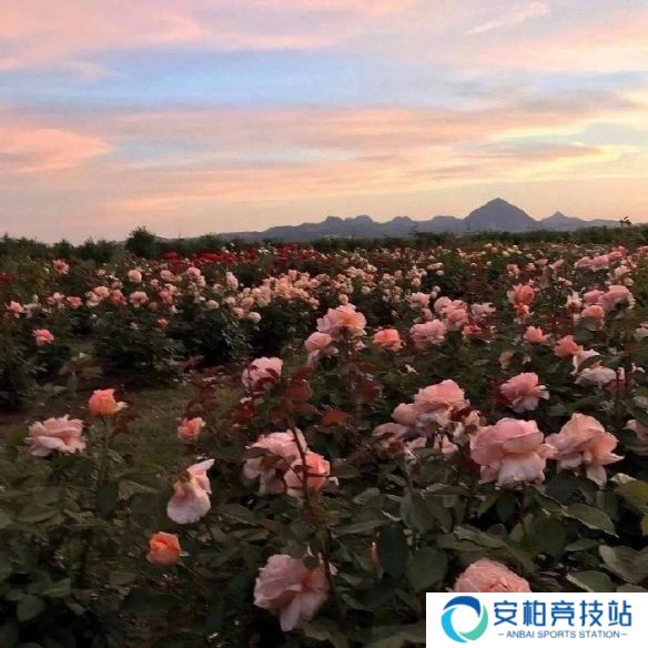 《英雄联盟》不矫情的网名大全11