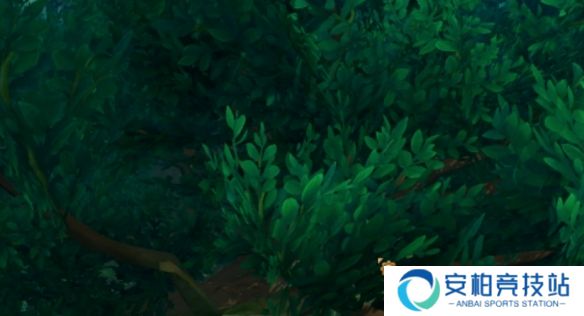 《魔兽世界》翡翠梦境的宝藏成就完成方法介绍6