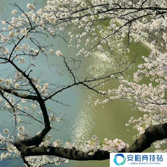 《英雄联盟》不矫情的网名大全9