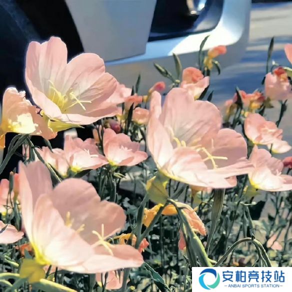 《英雄联盟》不矫情的网名大全7