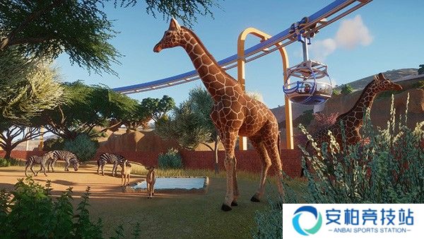 动物园之星正版