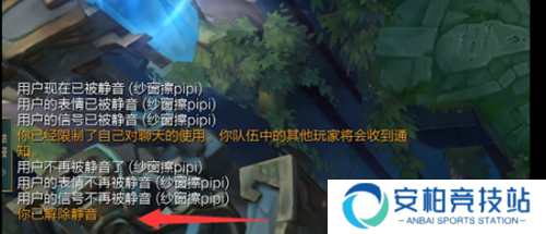 英雄联盟自我静音代码是什么 自我静音代码一览