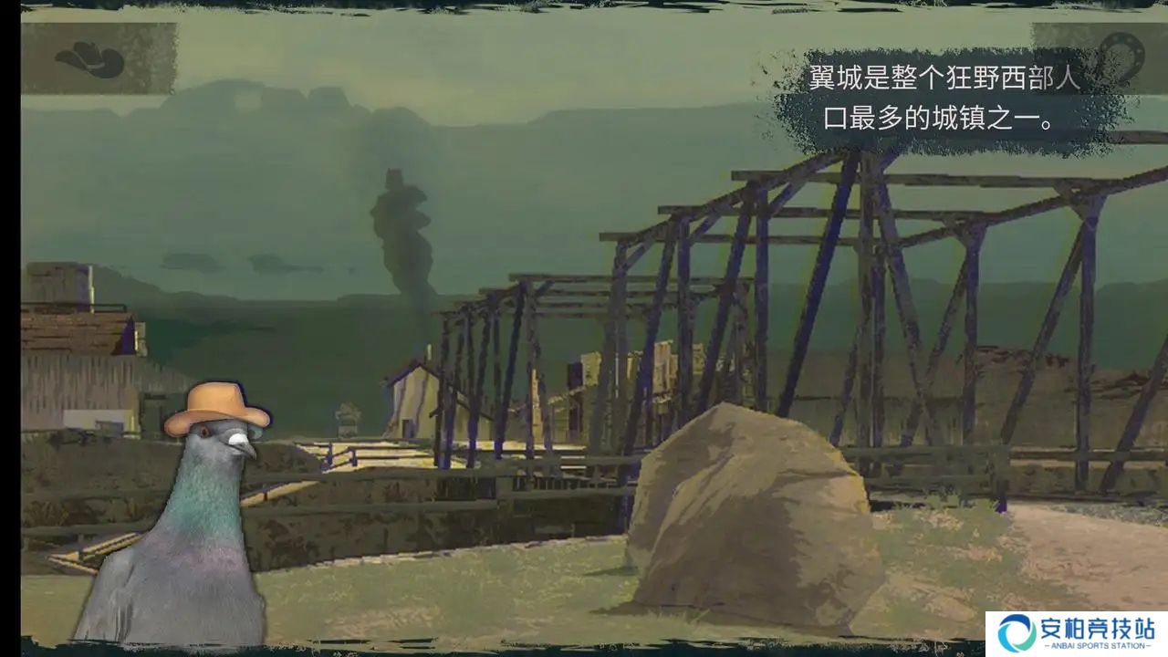 鸽子西部鸽子约翰尼