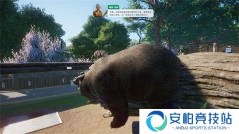 动物园之星中文版