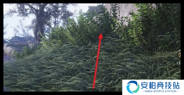燕云十六声清河特殊蹊跷在哪