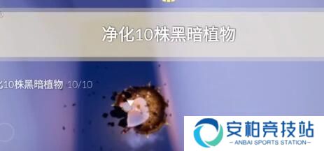 光遇2.28每日任务攻略一览 光遇2月28日任务怎么过
