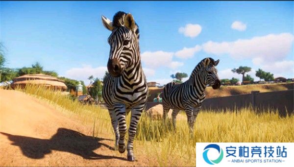 动物园之星正版