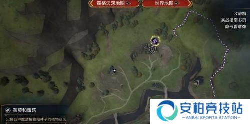 霍格沃茨之遗茱萸和毒菇在哪 茱萸和毒菇获取方式一览